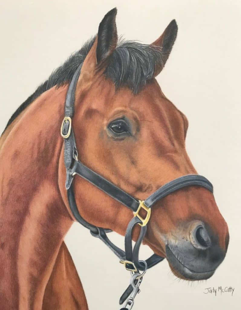 Bay horse portrait