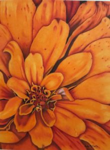 Orange zinnia colored pencil painting