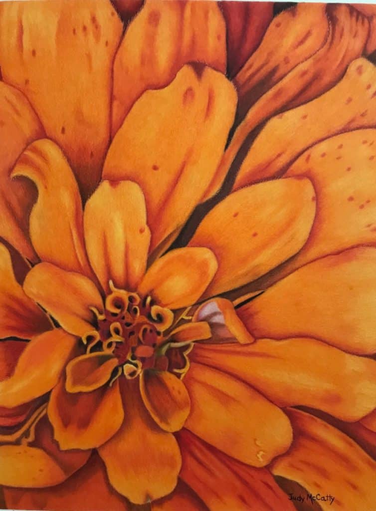 Orange zinnia colored pencil painting